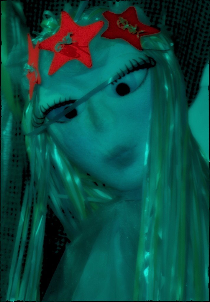 DSC_9529
